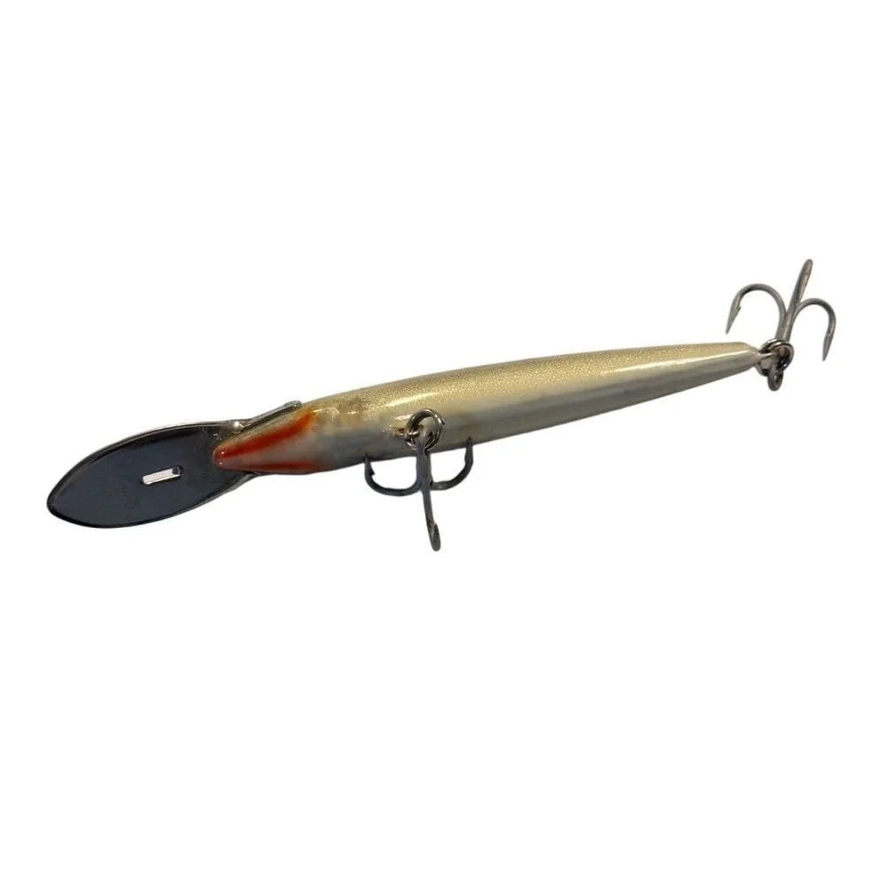 Rapala Deep Tail Dancer 5.5 Inch Trolling Lure Silver Black Back Crankbait
